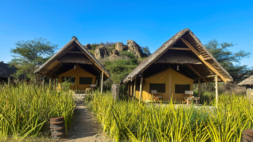 Olduvai Camp thumbnail 1